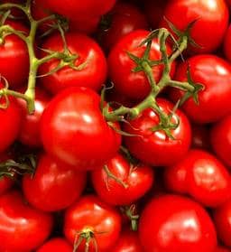 Tomate perita